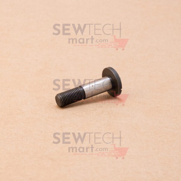 CT201363 FOOT LIFTER LEVER HINGE SCREW